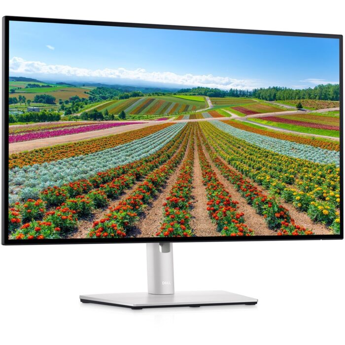 Dell P2422H 23.8 FHD Monitor