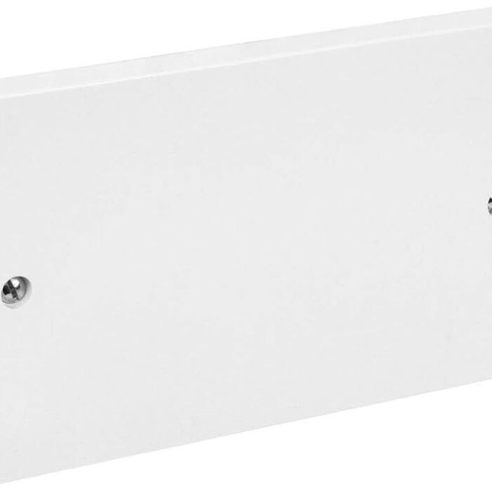 blank plate