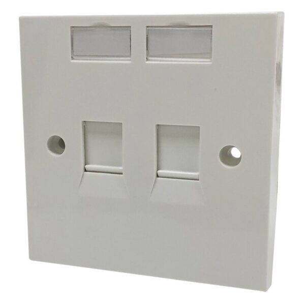 AICO 2 ports Data faceplate