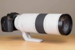 Canon RF 200-800mm Lens