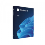 Microsoft Windows 11 Pro  - FQC-10528