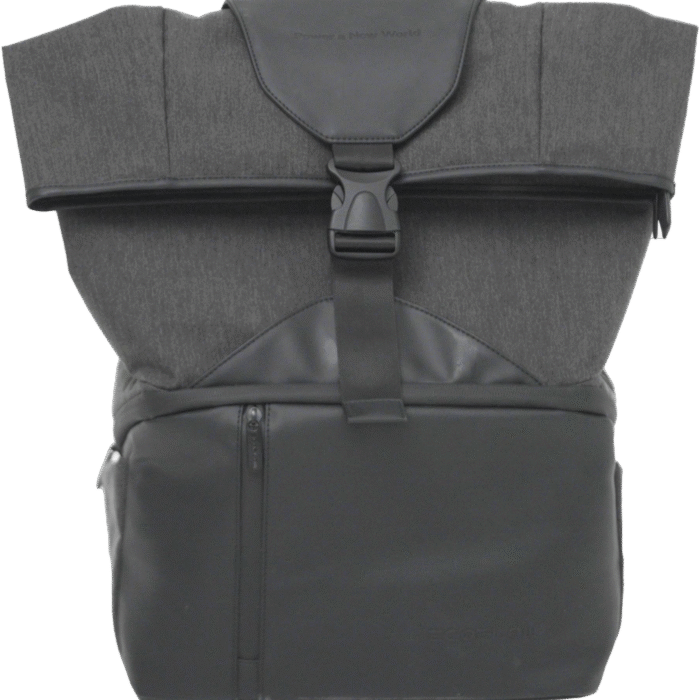 ECOFLOW WAVE 2 BAG
