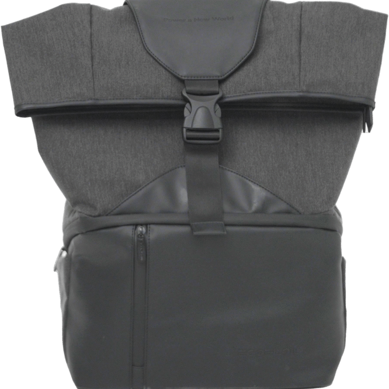 ECOFLOW WAVE 2 BAG